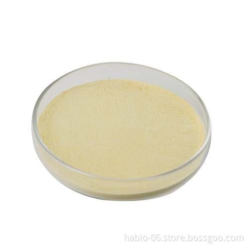 Top-Quality Catalase Powder Manufacturer: Bulk Pricing for Industrial Enzymes in Textile Industry